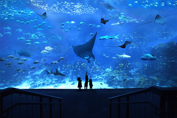 Aquarium (SEA)