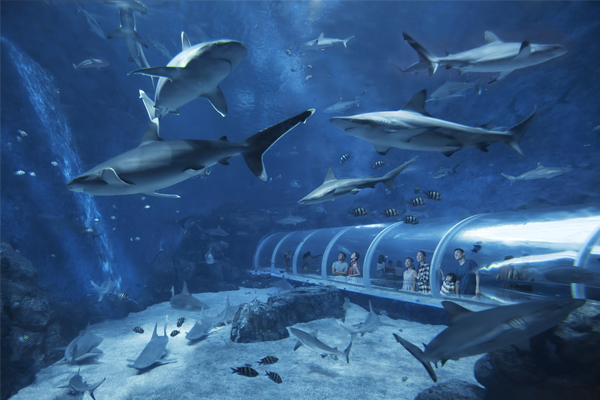 Aquarium (SEA)