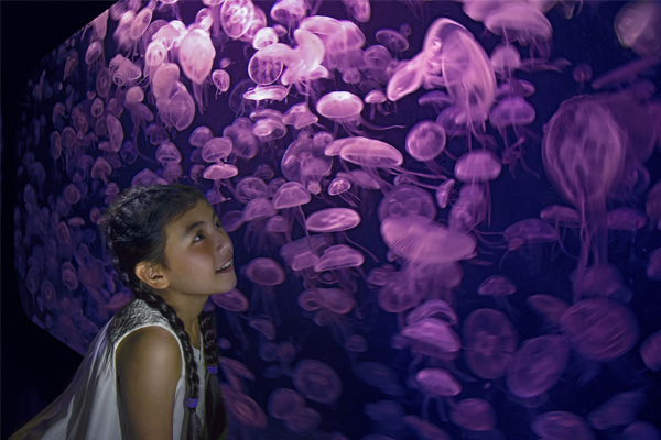 Aquarium (SEA)