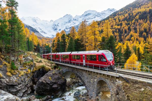 Swiss Travel Pass - Flexible