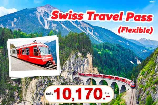 Swiss Travel Pass - Flexible