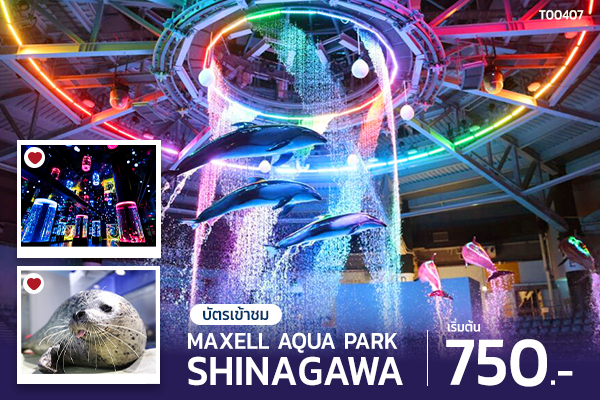 Maxell Aqua Park Shinagawa