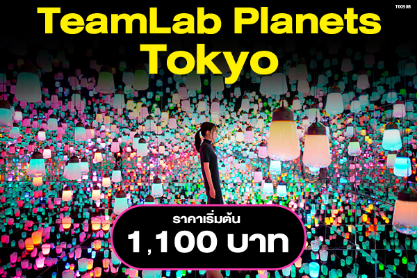 TeamLab Planets Tokyo