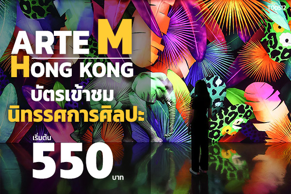 บัตรเข้าชมนิทรรศการศิลปะ Arte M Hong Kong