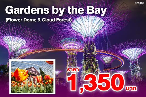 Gardens by the Bay (Flower Dome & Cloud Forest)