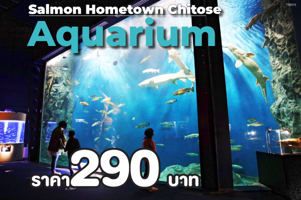Salmon Hometown Chitose Aquarium