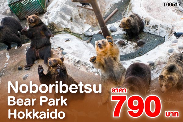 Noboribetsu Bear Park Hokkaido