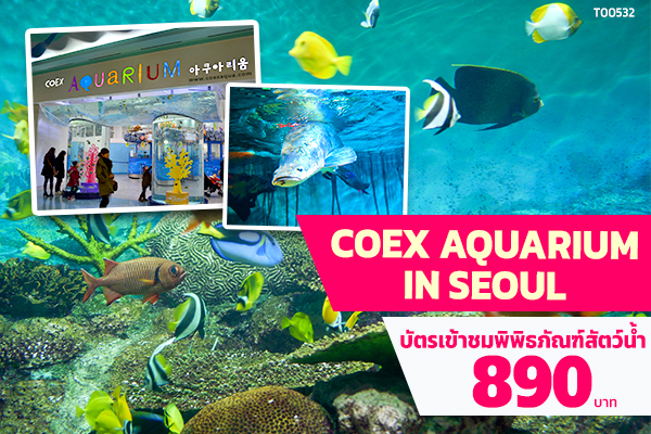 บัตรเข้าชมพิพิธภัณฑ์สัตว์น้ำ Coex Aquarium In Seoul