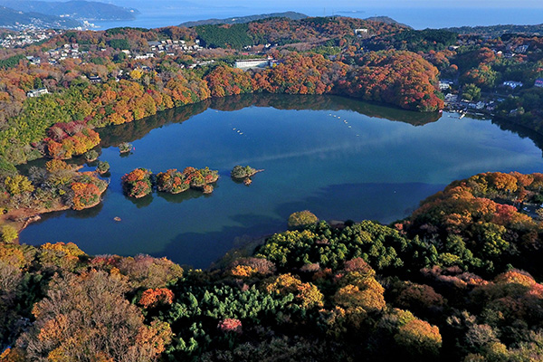Tokai Bus - Ito and IzuKogen 2 Days Pass