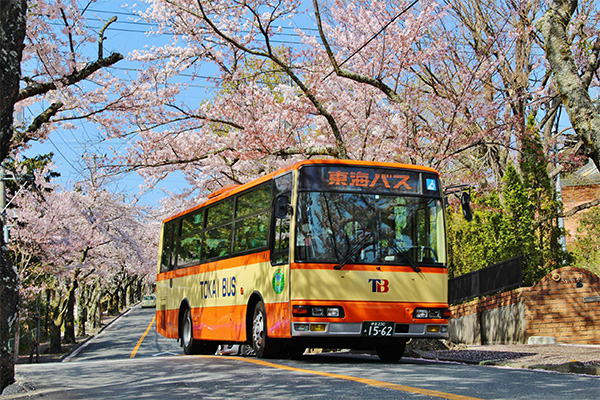 Tokai Bus