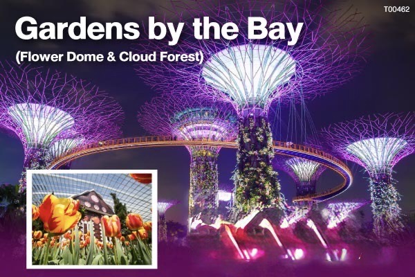 Gardens by the Bay (Flower Dome & Cloud Forest)