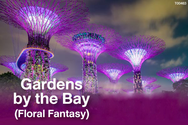 Gardens by the Bay (Disney Floral Fantasy