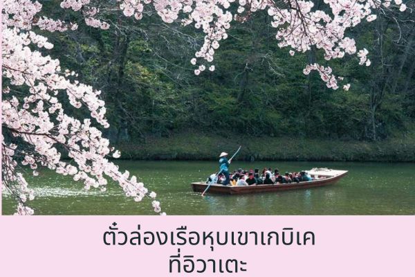 ตั๋วล่องเรือหุบเขาเกบิเค (Iwate)