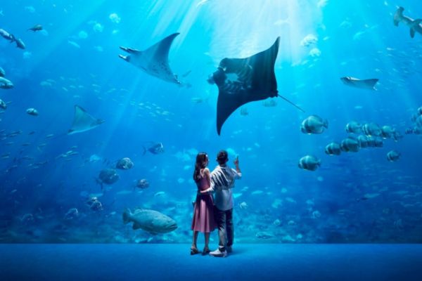 Singapore Oceanarium