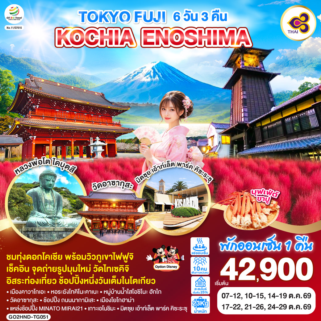 QQGO2HND-TG051 TOKYO FUJI KOCHIA ENOSHIMA 6D 3N  โดยสายการบินไทย [TG]