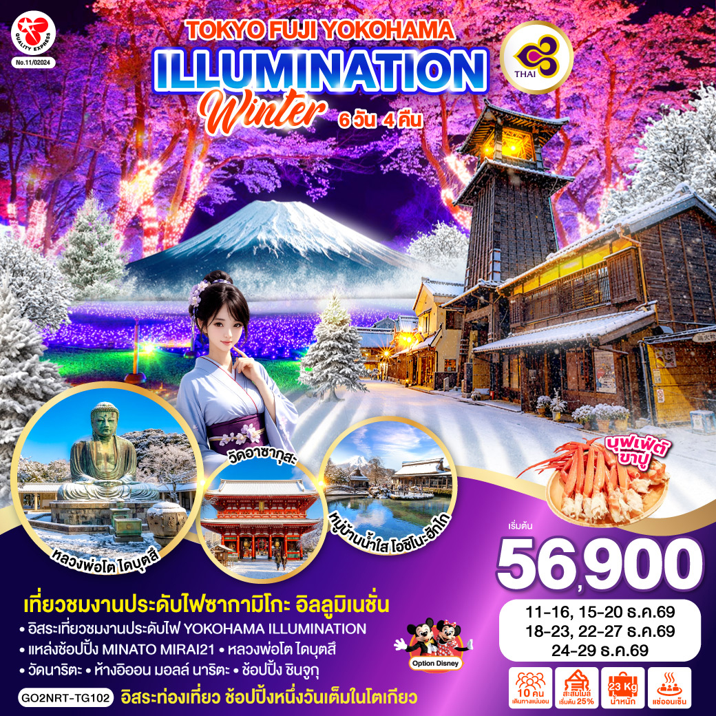 TOKYO FUJI YOKOHAMA ILLUMINATION WINTER 6D 4N โดยสายการบินไทย [TG]