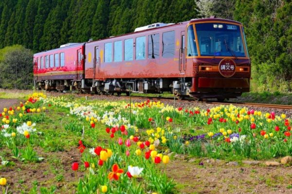 บัตรรถไฟ 1 วัน  Akita Inland Line