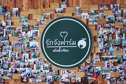 แพ็คเกจ บัตรเข้าชมฟาร์มกัญชา จังหวัดนครราชสีมา แปลงปลูกกัญชาทางการแพทย์ วิสาหกิจชุมชนกลุ่มรักจังฟาร์ม วังน้ำเขียว