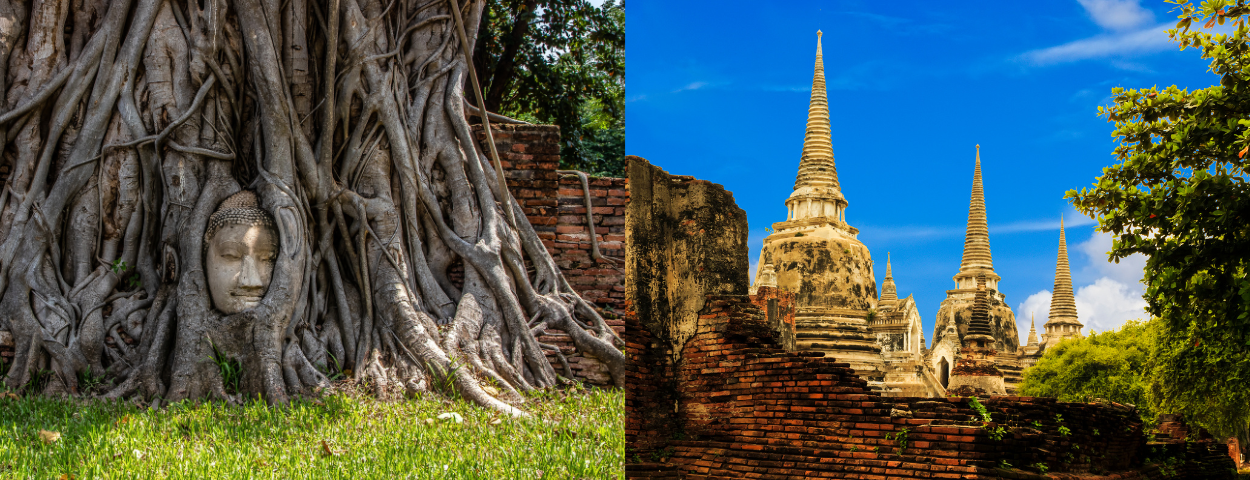 description_detail_picture