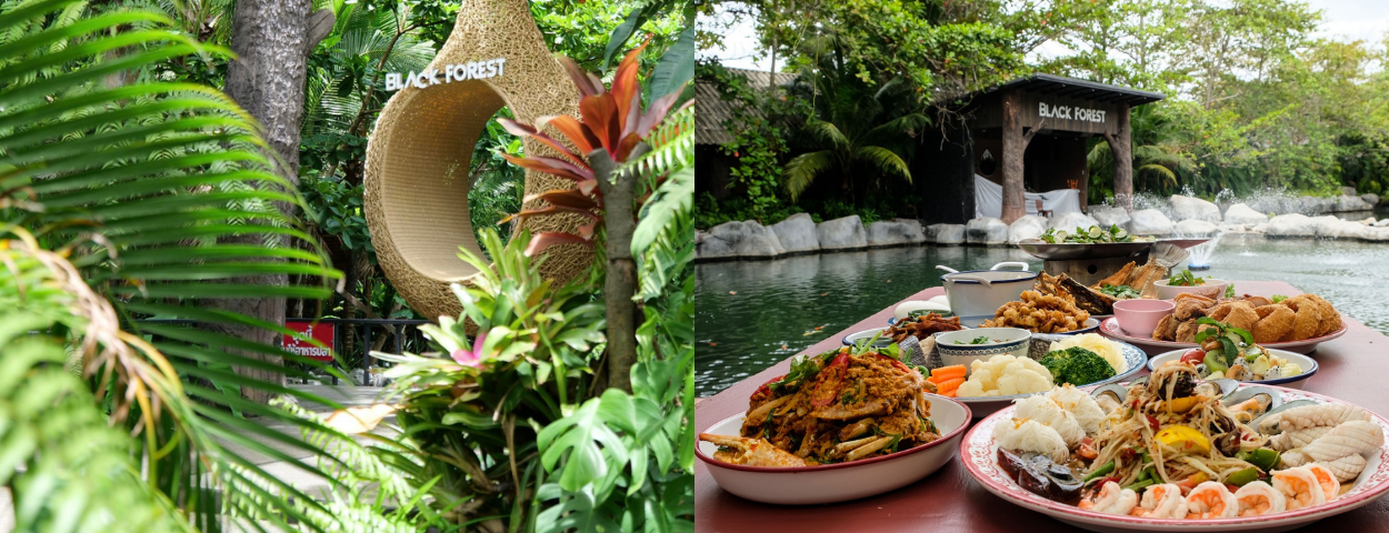 description_detail_picture