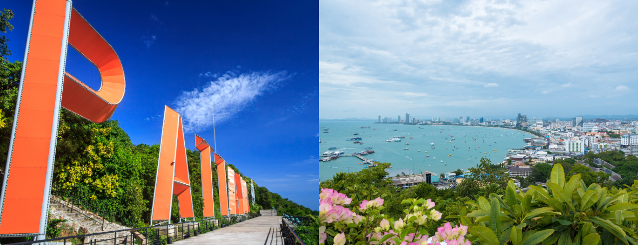 description_detail_picture