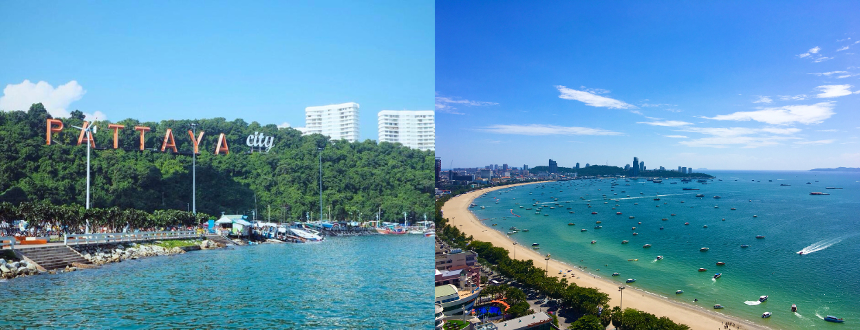 description_detail_picture