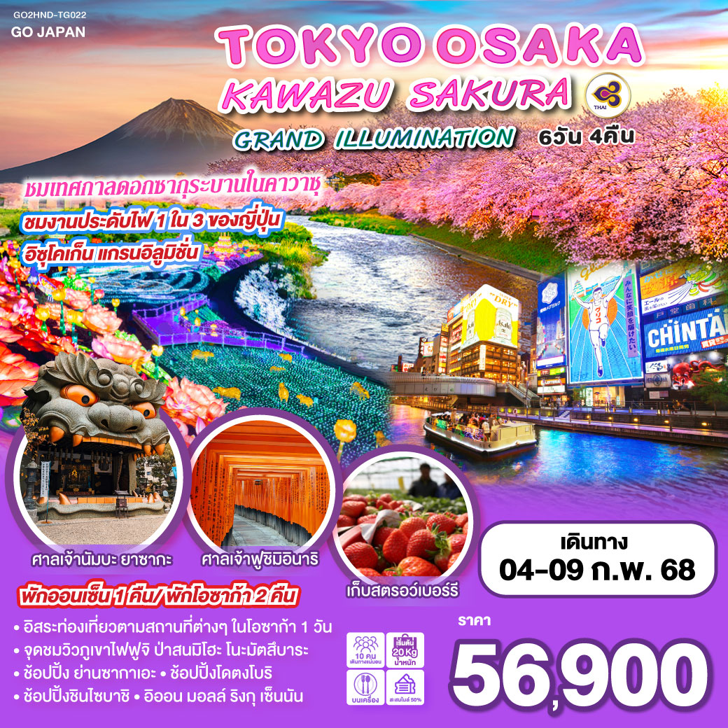 TOKYO OSAKA KAWAZU SAKURA GRAN ILLUMI 6D 4N โดยสายการบินไทย [TG]