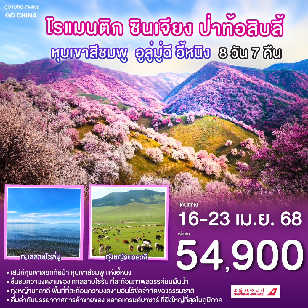 โรแมนติกซินเจียง ป่าท้อสิบลี้ หุบเขาสีชมพู อูลู่มู่ฉี อี้หนิง  8 วัน 7 คืน โดยการบิน เซี่ยงไฮ้ แอร์ไลน์ (FM)