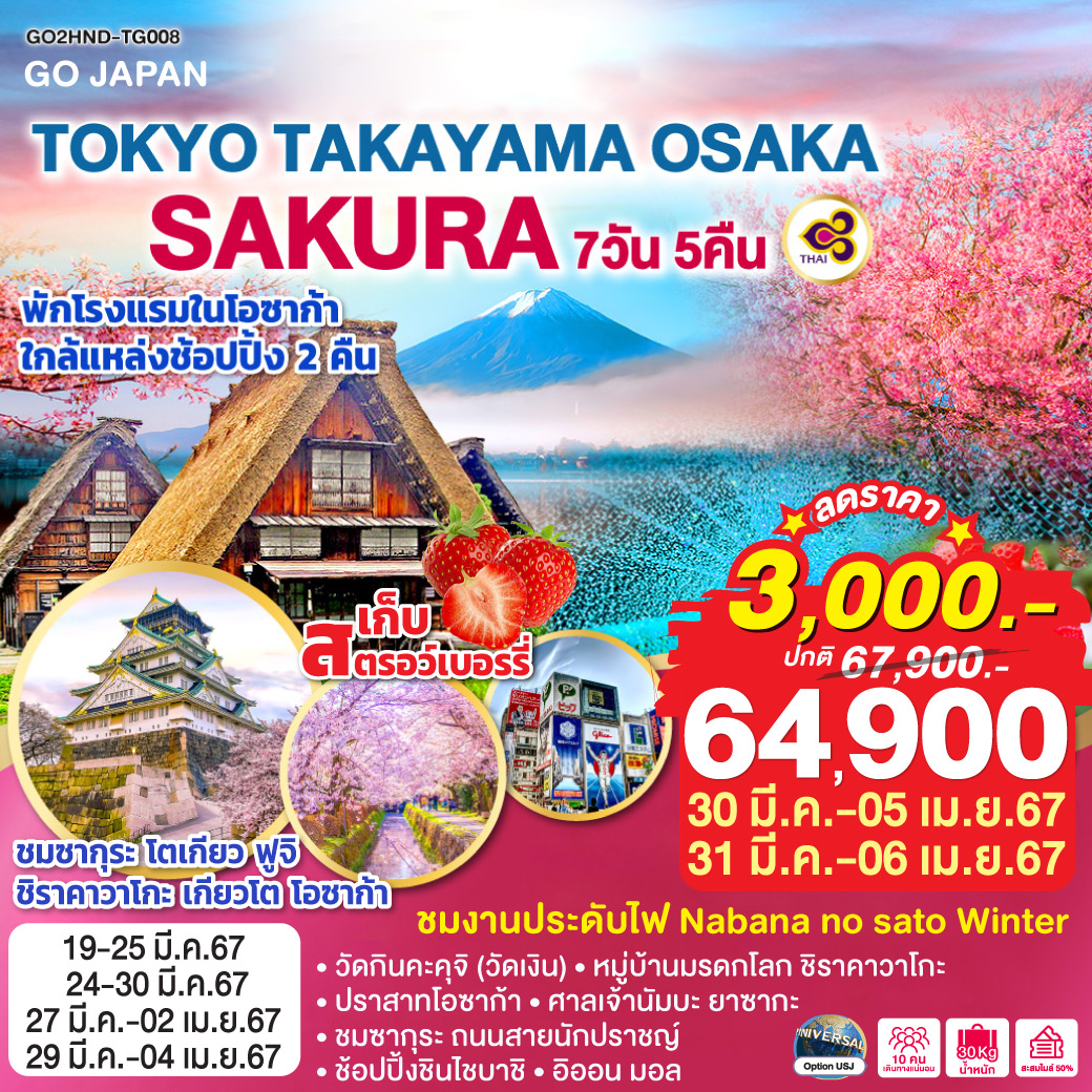 TOKYO TAKAYAMA OSAKA SAKURA 7D 5N โดยสายการบินไทย [TG]