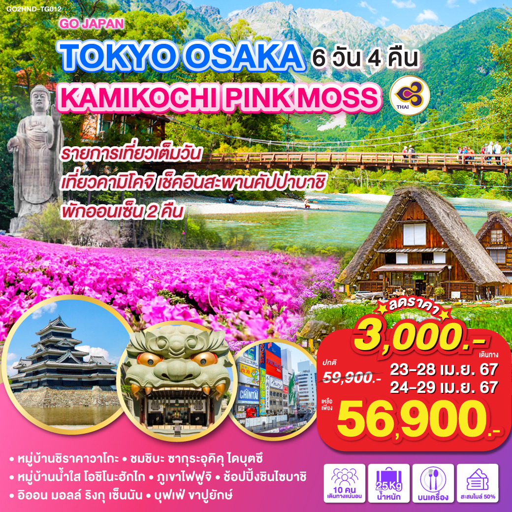 TOKYO OSAKA KAMIKOCHI PINK MOSS 6D 4N โดยสายการบินไทย [TG]