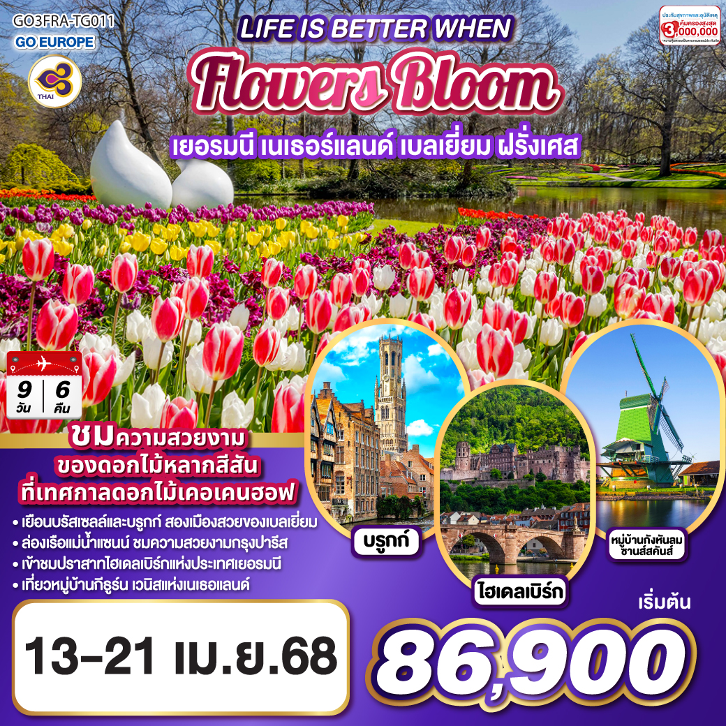 LIFE IS BETTER WHEN FLOWERS BLOOM เยอรมนี เนเธอร์แลนด์ เบลเยี่ยม ฝรั่งเศส 9 วัน 6 คืน โดยสายการบินไทย (TG)