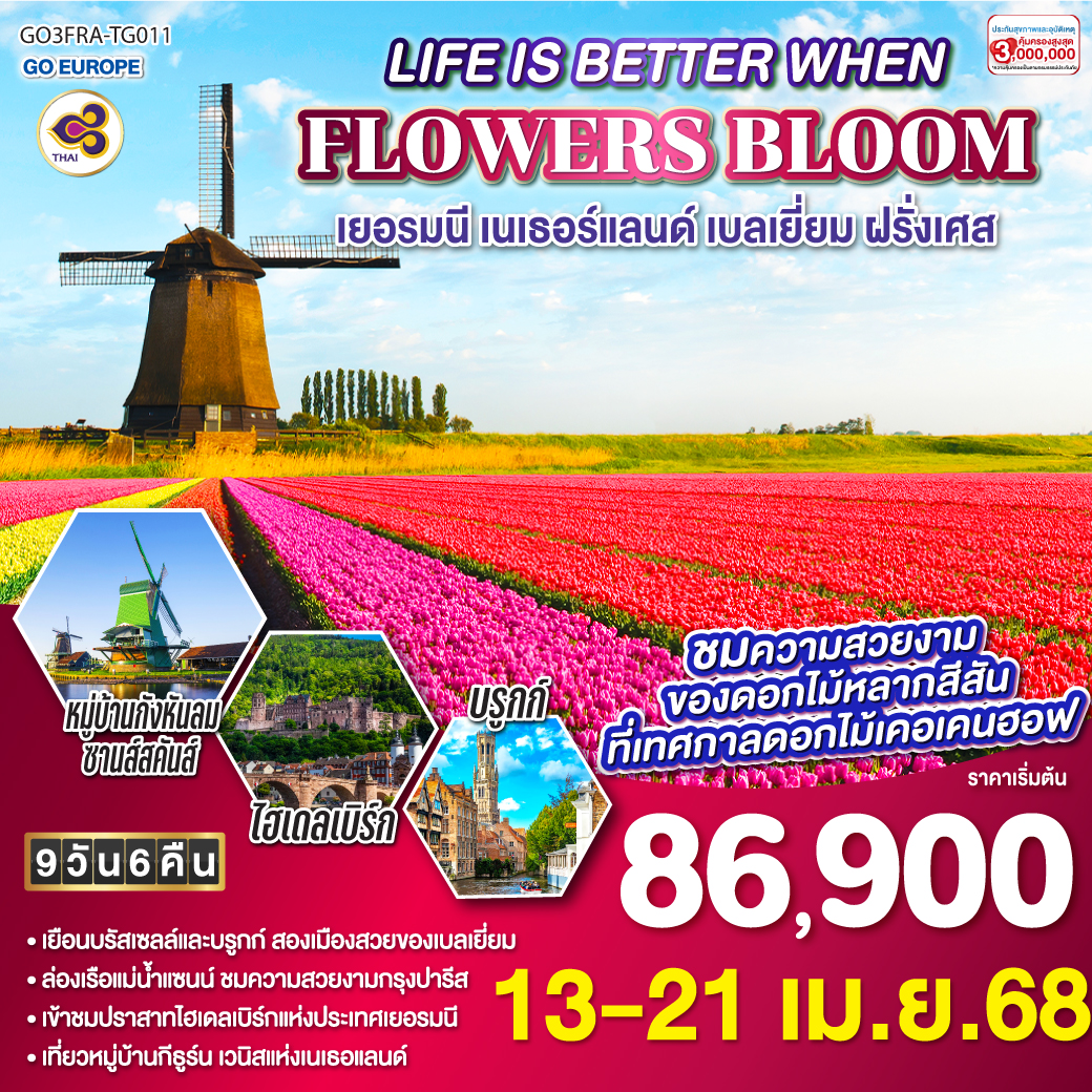 LIFE IS BETTER WHEN FLOWERS BLOOM เยอรมนี เนเธอร์แลนด์ เบลเยี่ยม ฝรั่งเศส 9 วัน 6 คืน โดยสายการบินไทย (TG)