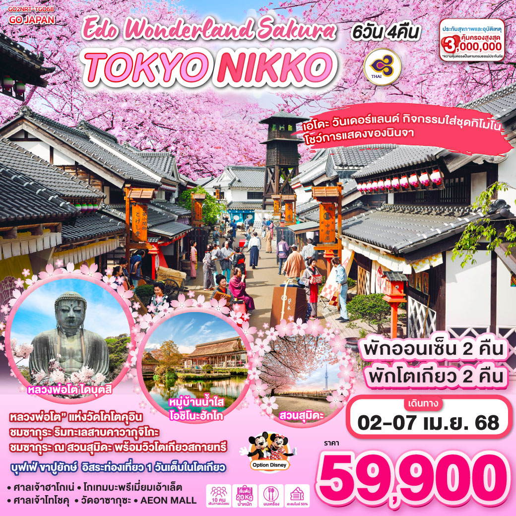 TOKYO NIKKO EDO WONDERLAND SAKURA 6D 4N  โดยสายการบินไทย [TG]