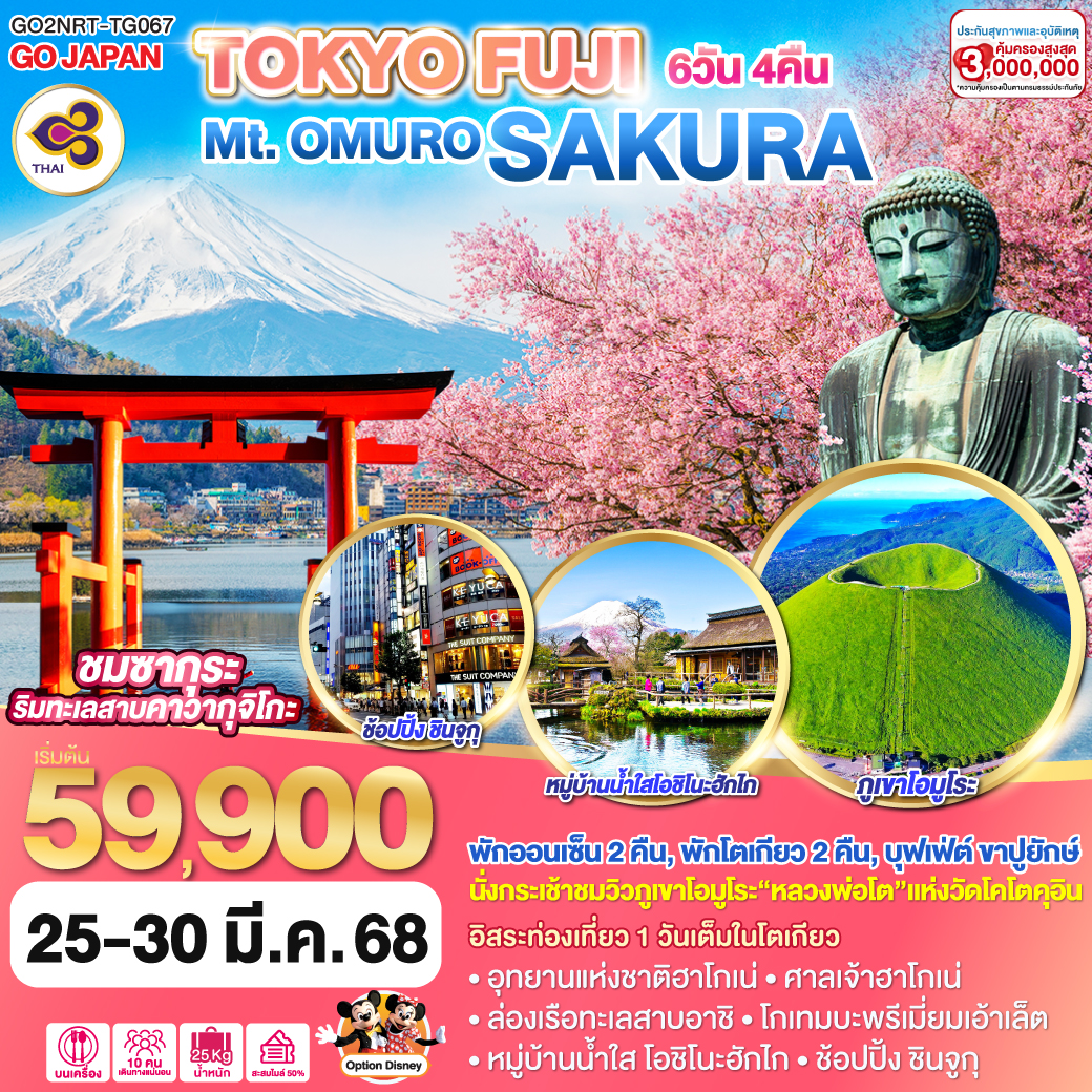 TOKYO FUJI Mt.OMURO SAKURA  6D 4N โดยสายการบินไทย [TG]