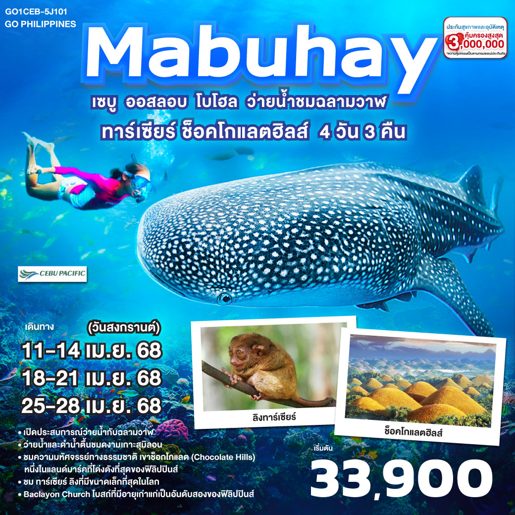 GO Philippines Mabuhay เซบู  ออสลอบ โบโฮล ว่ายน้ำกับฉลามวาฬ ชมทาร์เซียร์ ช็อคโกแลตฮิลส์  4วัน3คืน โดยสายการบิน Cebu Pacific (5J)