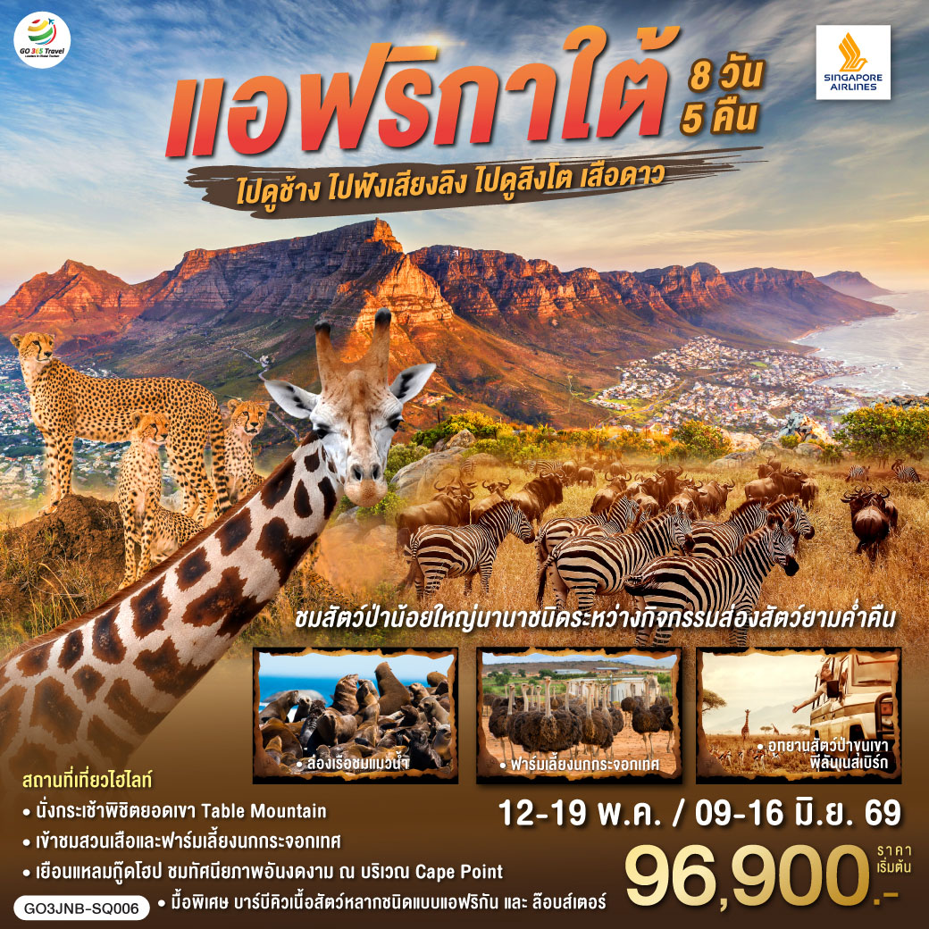 สิงคโปร์ – โจฮันเนสเบิร์ก - พริทอเรีย –Union Building  - เมืองซันซิตี้ -  Game Drive - สวนเสือ – โจฮันเนสเบิร์ก - ห้าง Mall of Africa – ช้อปปิ้ง – ลิ้มรสบาร์บีคิวเนื้อสัตว์ – เคปทาวน์ – Table Mountain                     
ฟาร์มนกกระจอกเทศ – ชมไร่ไวน์กรูทคอนสแตนเทีย - วิคตอเรีย แอนด์ อัลเฟรด วอเตอร์ฟร้อนท์ - ล่องเรือชมแมวน้ำ – ถนน Chapman’s Peak - ชมฝูงนกเพนกวิน – ไซมอนทาวน์ – แหลมกู๊ดโฮป – เคปทาวน์
