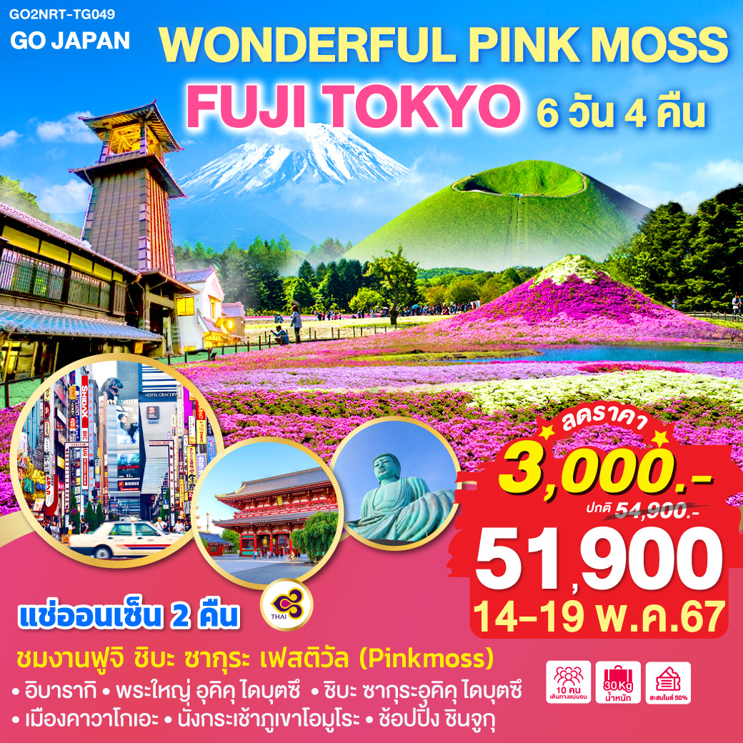 WONDERFUL PINK MOSS FUJI TOKYO 6D 4N โดยสายการบินไทย [TG]