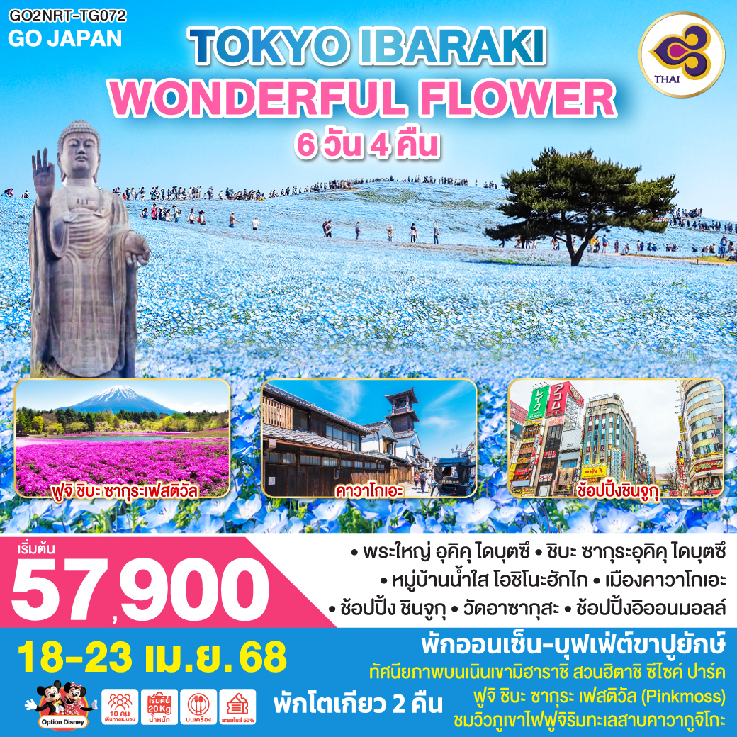 TOKYO IBARAKI WONDERFUL FLOWER  6D 4N โดยสายการบินไทย [TG]