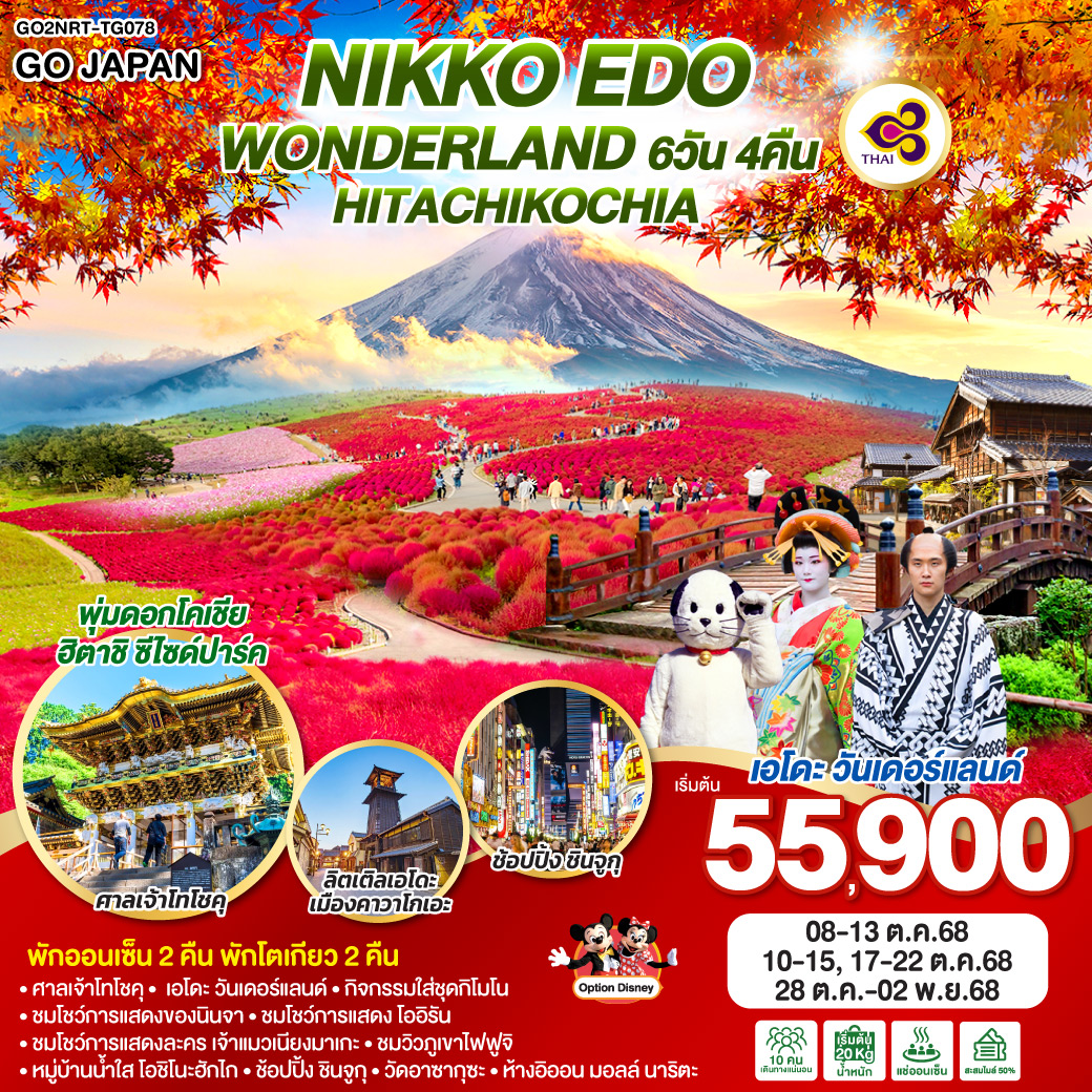 NIKKO EDO WONDERLAND HITACHIKOCHIA  6D 4N โดยสายการบินไทย [TG]