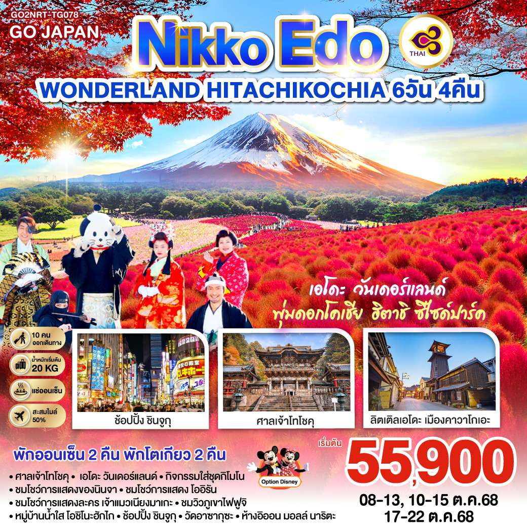 NIKKO EDO WONDERLAND HITACHIKOCHIA  6D 4N โดยสายการบินไทย [TG]