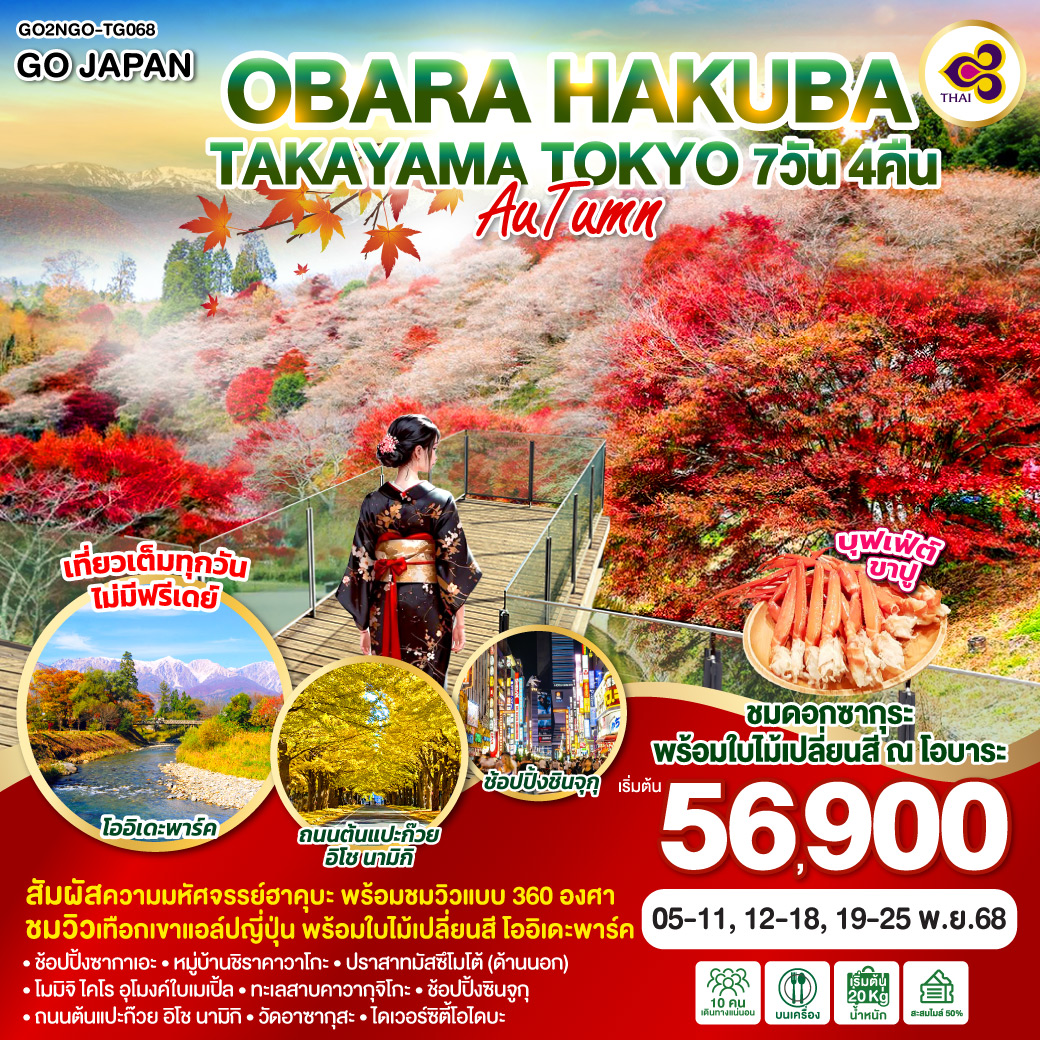 OBARA HAKUBA TAKAYAMA TOKYO AUTUMN   7D 4N โดยสายการบินไทย [TG]
