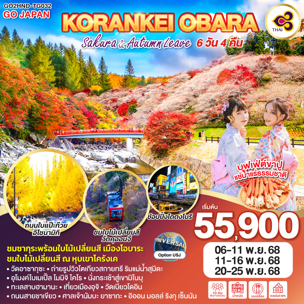 KORANKEI OBARA SAKURA & AUTUMN LEAVE 6D 4N โดยสายการบินไทย [TG]
