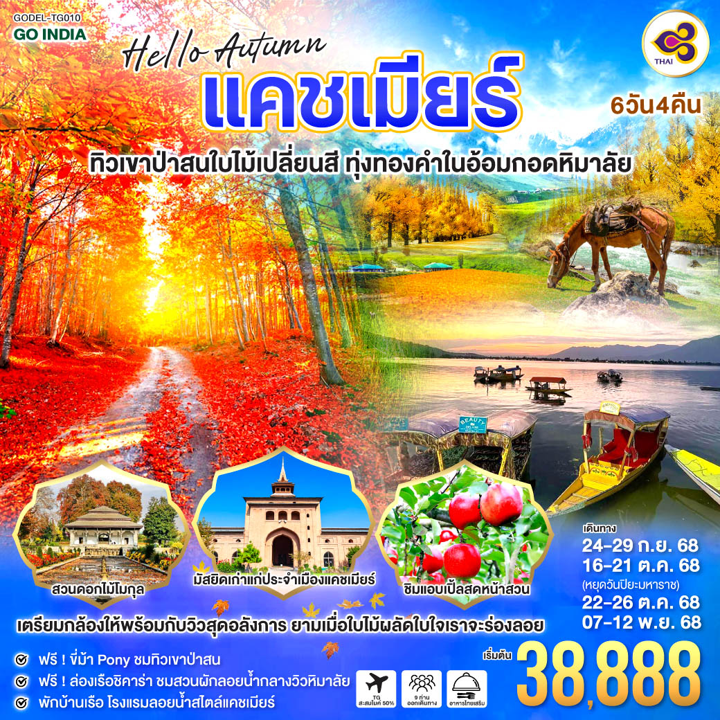 HELLO, AUTUMN KASHMIR ทิวเขาป่าสนใบไม้เปลี่ยนสี  ทุ่งทองคำในอ้อมกอดหิมาลัย 6วัน 4คืน  โดยสายการบิน Thai Airways (TG)