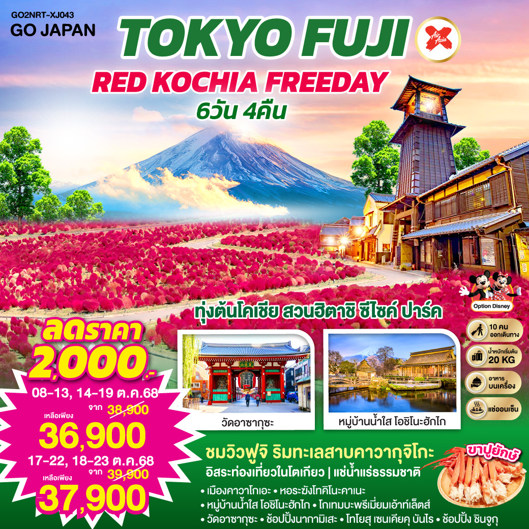 TOKYO FUJI RED KOCHIA FREEDAY 6D 4N  โดยสายการบินไทยแอร์เอเชีย เอ็กซ์ [XJ]