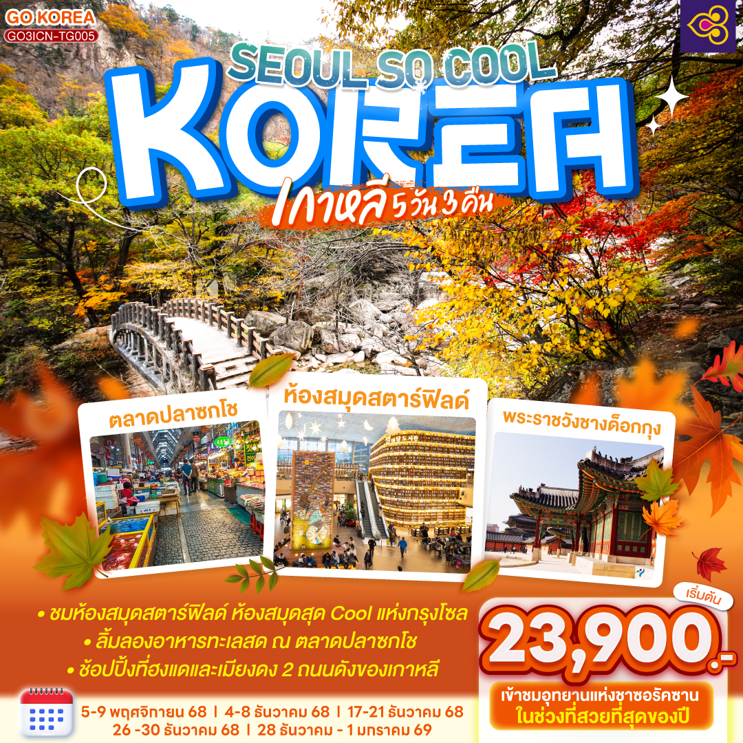 เกาหลี (KOREA) SEOUL SO COOL 5 วัน 3 คืน โดยสายการบินไทย (TG)