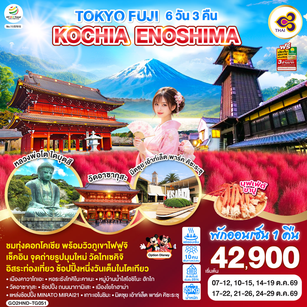 TOKYO FUJI KOCHIA ENOSHIMA 6D 3N โดยสายการบินไทย [TG]
