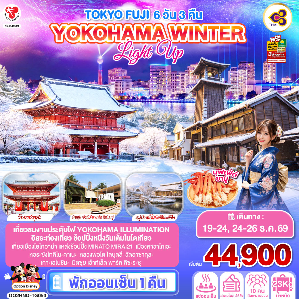 TOKYO FUJI YOKOHAMA WINTER LIGHT UP  6D 3N โดยสายการบินไทย [TG]