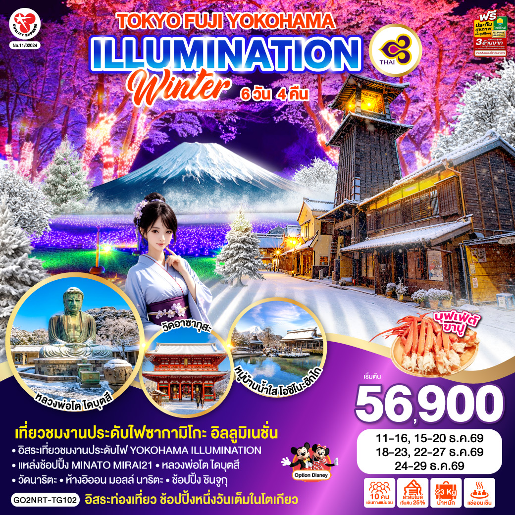 TOKYO FUJI YOKOHAMA ILLUMINATION WINTER  6D 4N โดยสายการบินไทย [TG]