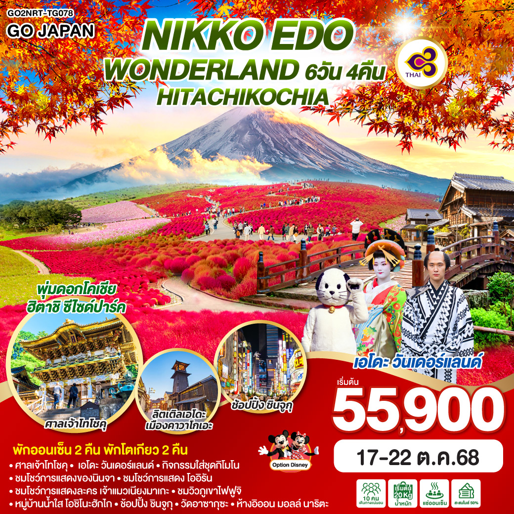 ไฮไลท์ทัวร์-Highlight
เอโดะ วันเดอร์แลนด์ - พุ่มดอกโคเชีย ฮิตาชิ ซีไซด์ปาร์ค - ลิตเติลเอโดะ เมืองคาวาโกเอะ - พักออนเซ็น 2 คืน พักโตเกียว 2 คืน - ศาลเจ้าโทโชคุ - เอโดะ วันเดอร์แลนด์ – กิจกรรมใส่ชุดกิโมโน – ชมโชว์การแสดงของนินจา – ชมโชว์การแสดง โออิรัน –ชมโชว์การแสดงละคร เจ้าแมวเนียงมาเกะ - ชมวิวภูเขาไฟฟูจิ ริมทะเลสาบคาวากุจิโกะ – หมู่บ้านน้ำใส โอชิโนะฮักไก – ช้อปปิ้ง ชินจูกุ - วัดอาซากุซะ – ห้างอิออน มอลล์ นาริตะ