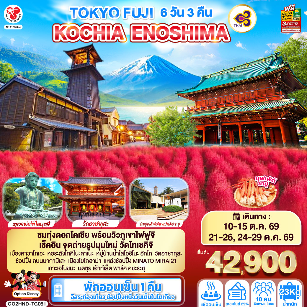 TOKYO FUJI KOCHIA ENOSHIMA 6D 3N  โดยสายการบินไทย [TG]